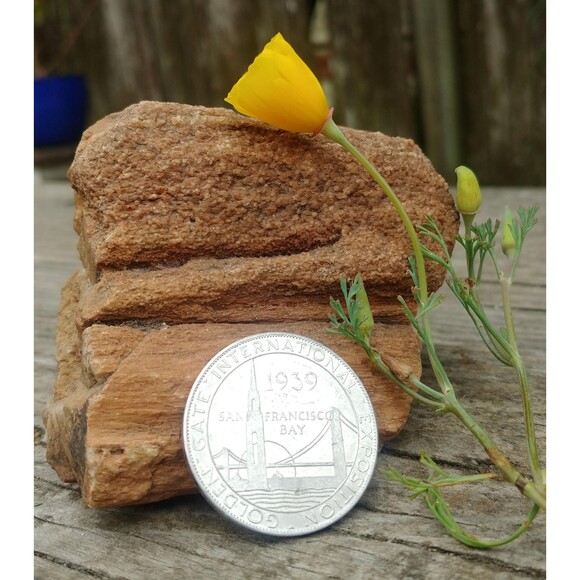 Vintage 1939 Golden Gate International Exposition Union Pacific Railroad Token - Picture 7 of 10